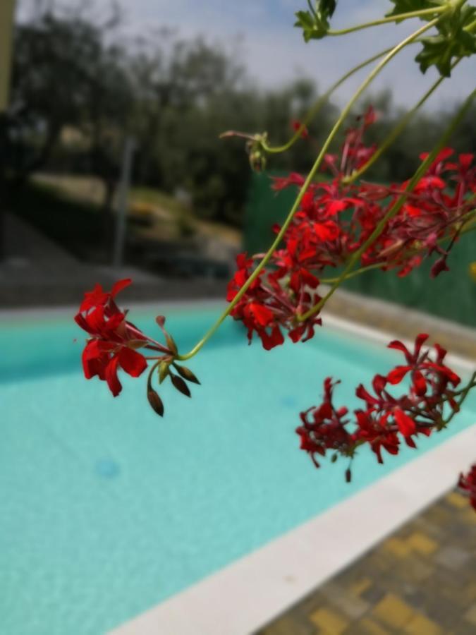 Appartamenti Bellini Bardolino Buitenkant foto