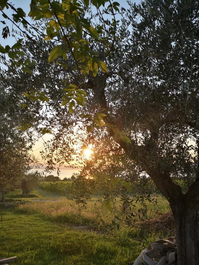 Appartamenti Bellini Bardolino Buitenkant foto