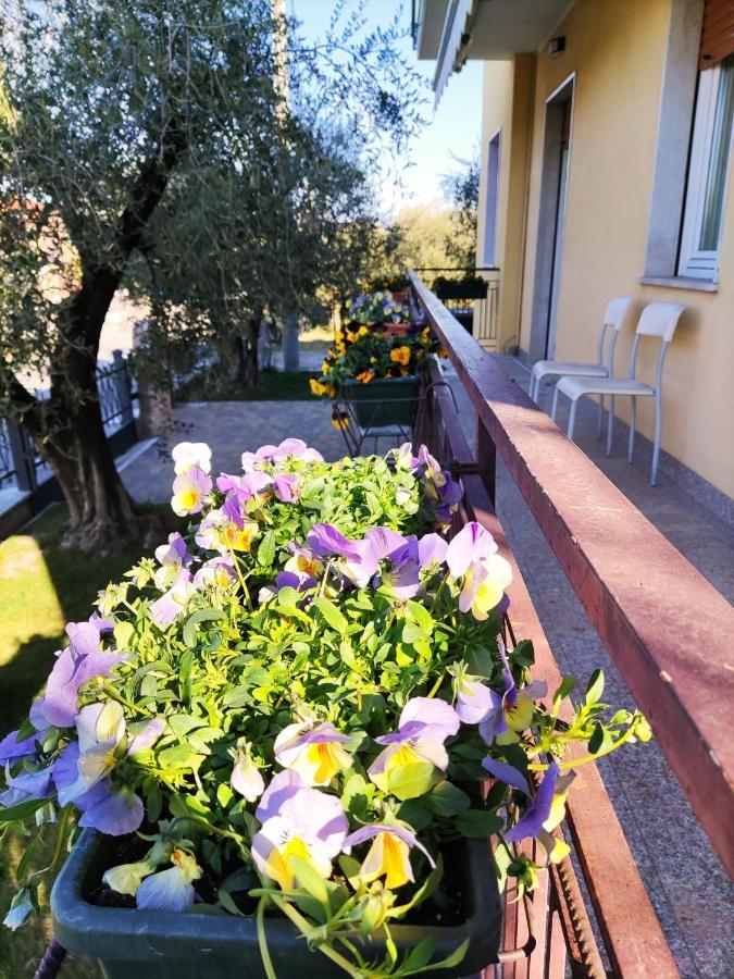 Appartamenti Bellini Bardolino Buitenkant foto