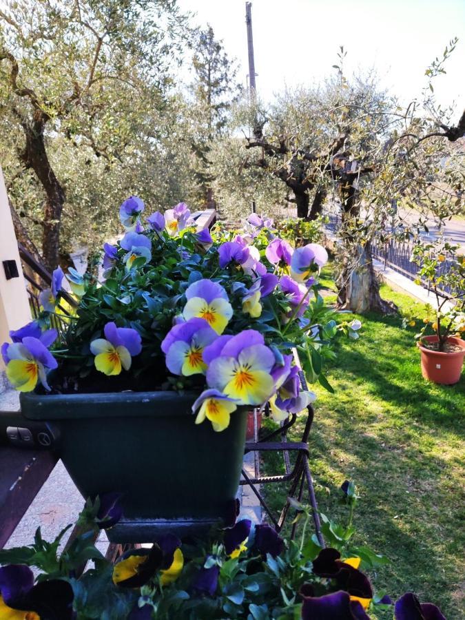 Appartamenti Bellini Bardolino Buitenkant foto
